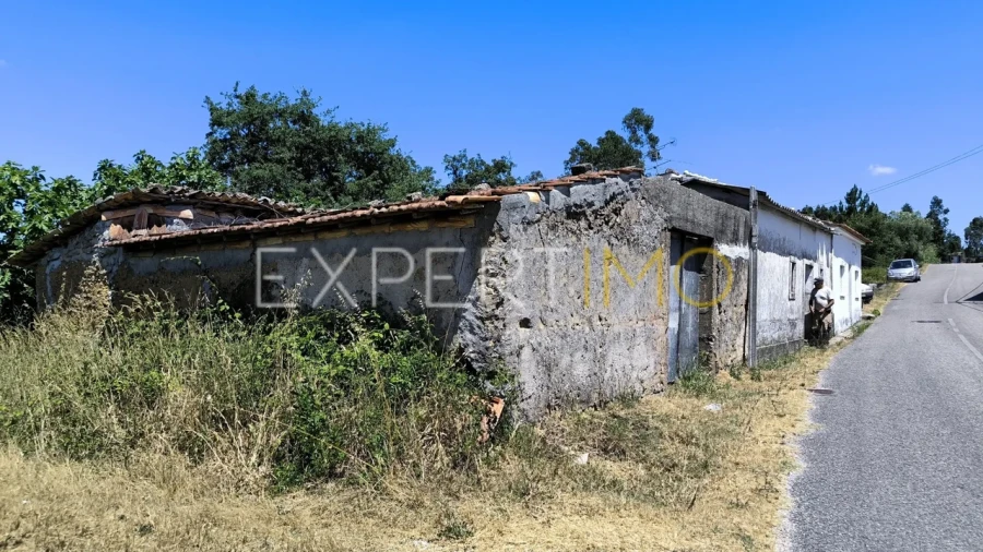 Moradia T3 para Venda em Pelariga Foto 21