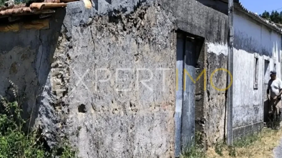 Moradia T3 para Venda em Pelariga