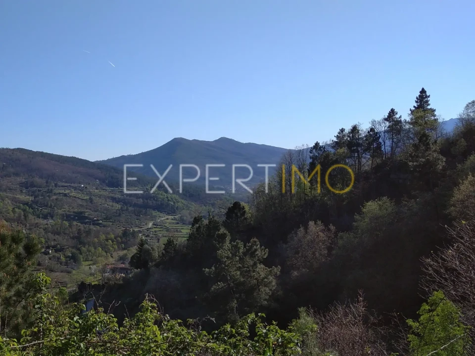 Quinta T0 para Venda em Famalicão Foto 11