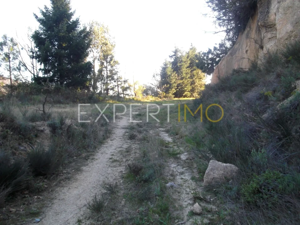 Quinta T0 para Venda em Famalicão Foto 15