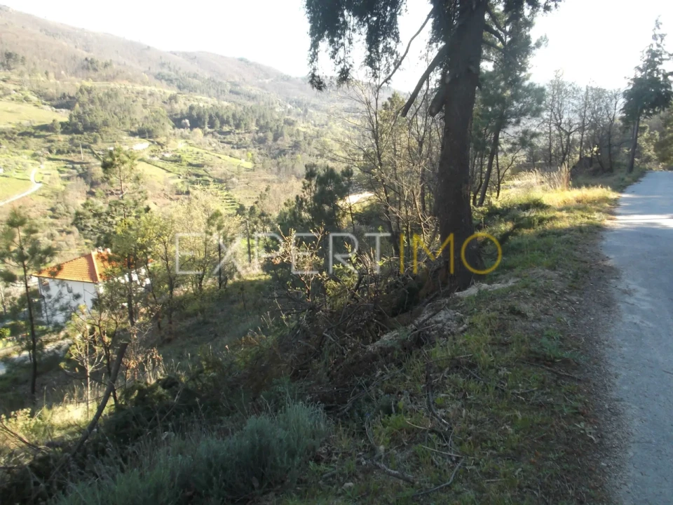 Quinta T0 para Venda em Famalicão Foto 18