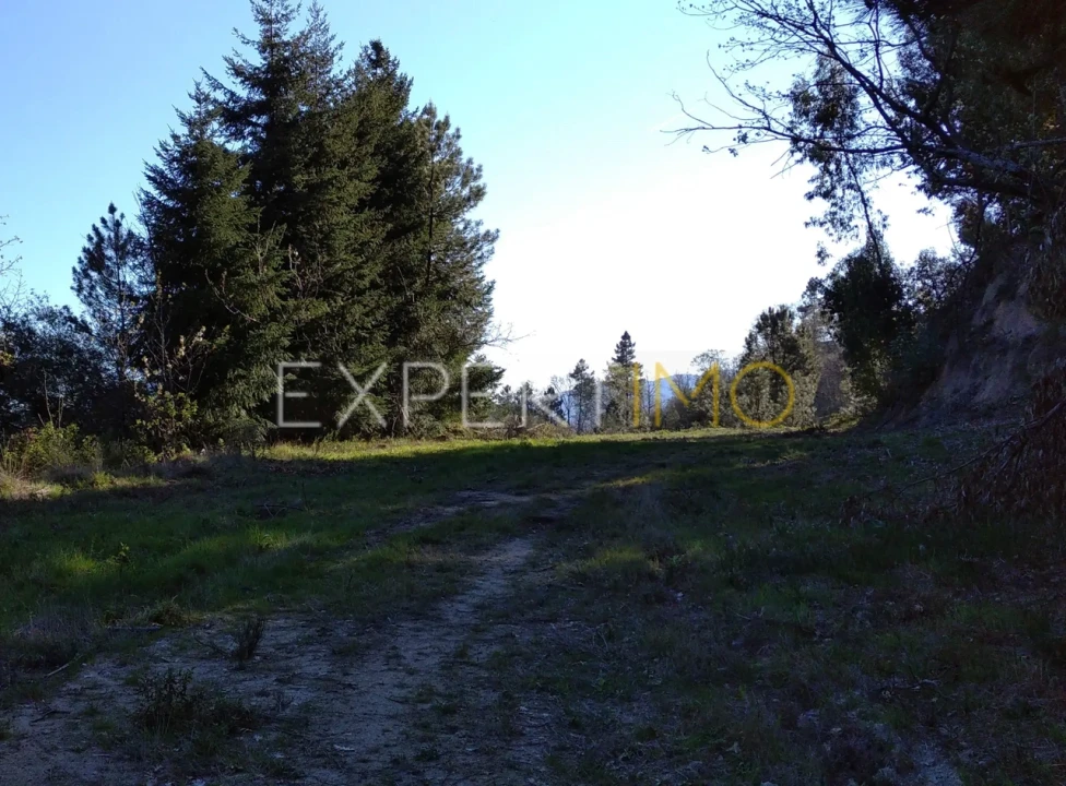 Quinta T0 para Venda em Famalicão Foto 22