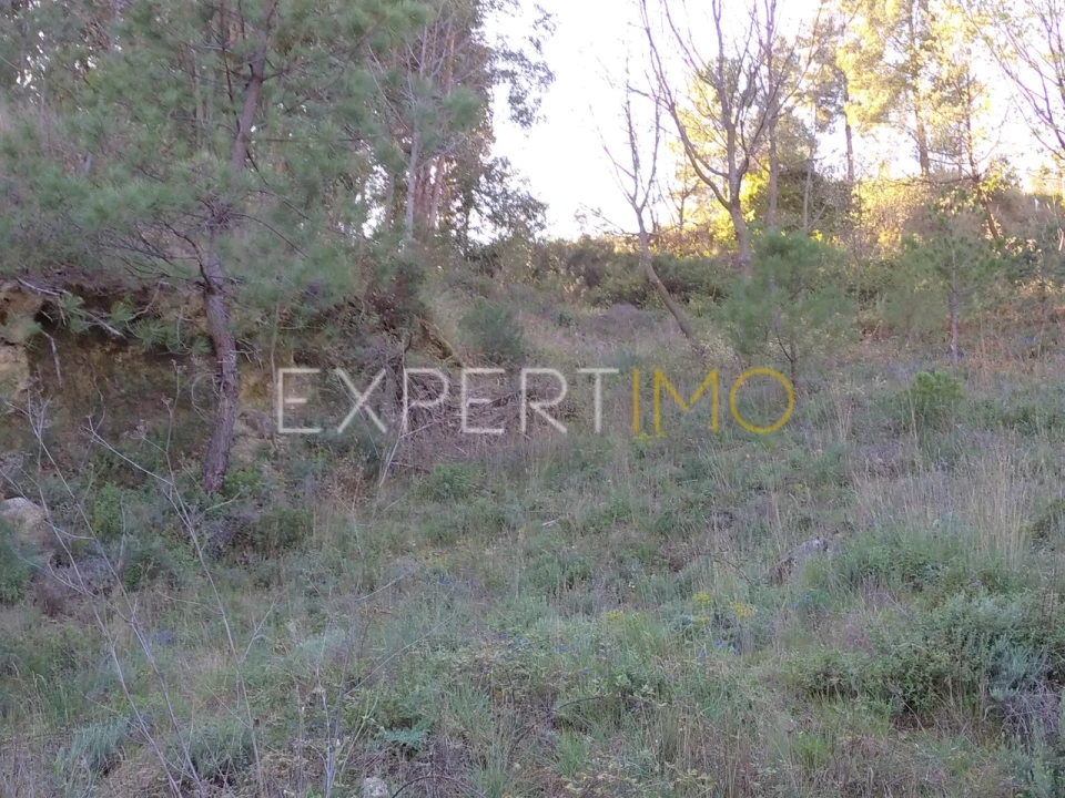 Quinta T0 para Venda em Famalicão Foto 27