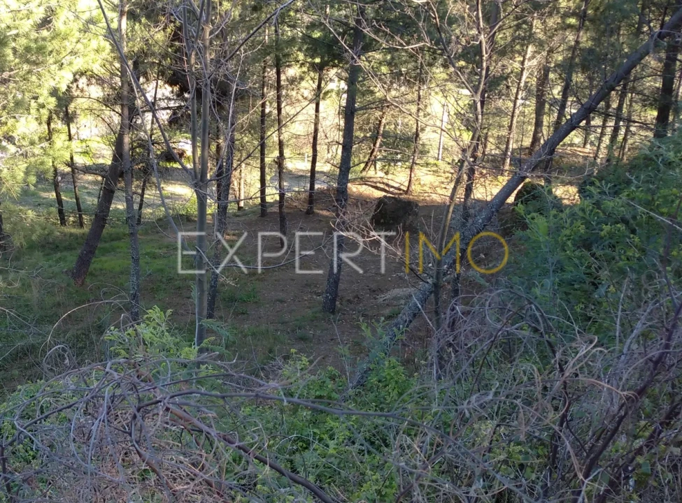 Quinta T0 para Venda em Famalicão Foto 36