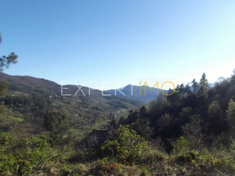 Quinta T0 para Venda em Famalicão Foto 4