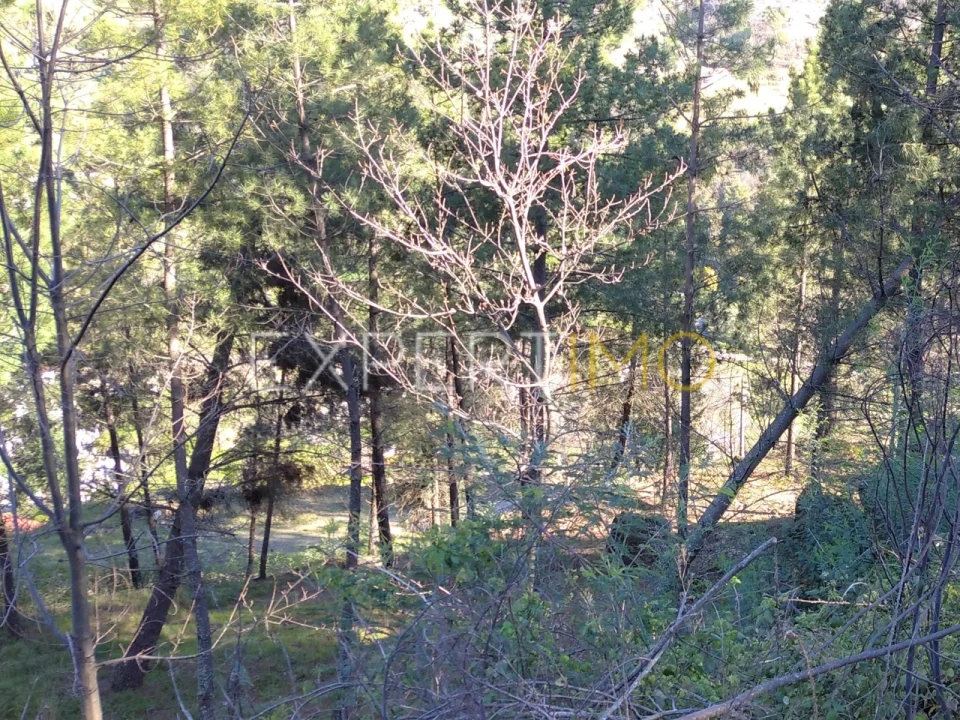 Quinta T0 para Venda em Famalicão Foto 40