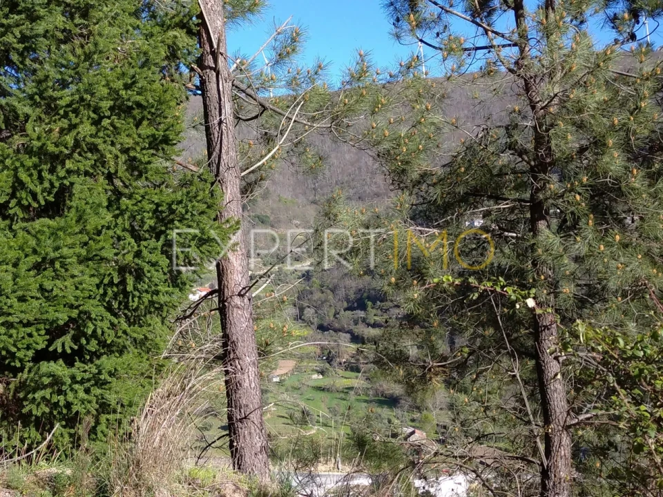 Quinta T0 para Venda em Famalicão Foto 41