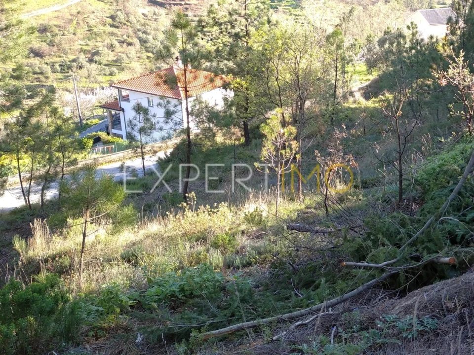 Quinta T0 para Venda em Famalicão Foto 42