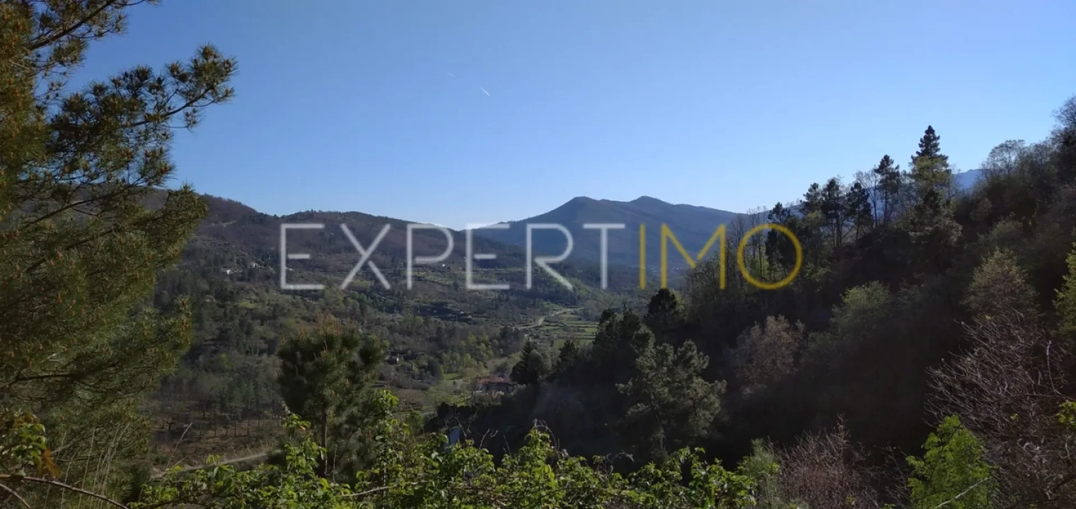 Quinta T0 para Venda em Famalicão Foto 7