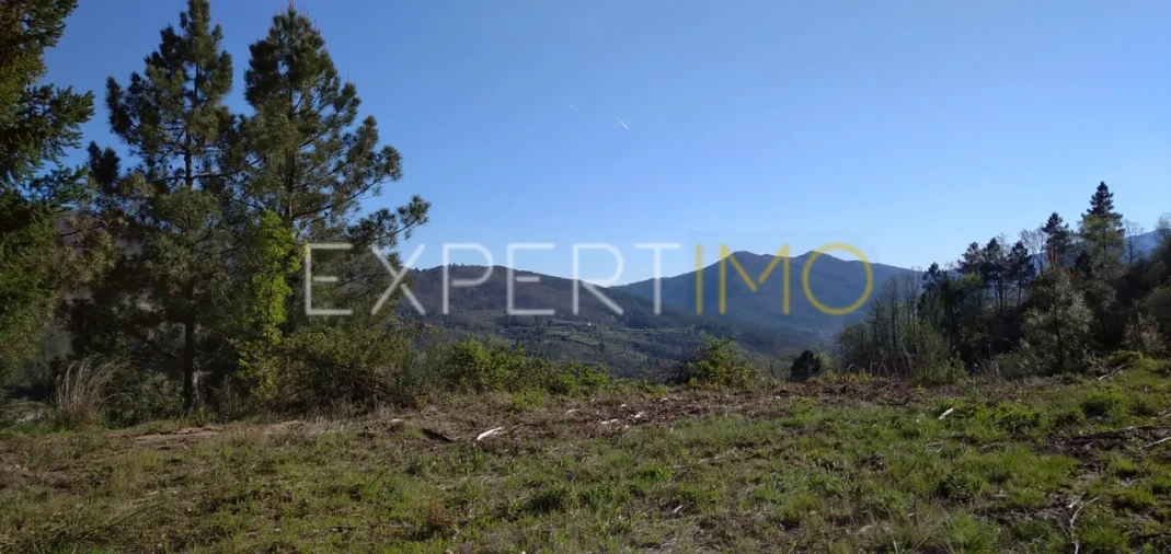 Quinta T0 para Venda em Famalicão Foto 10