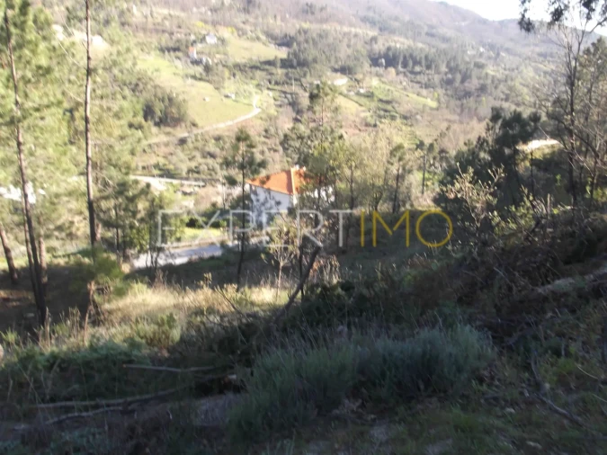 Quinta T0 para Venda em Famalicão Foto 12