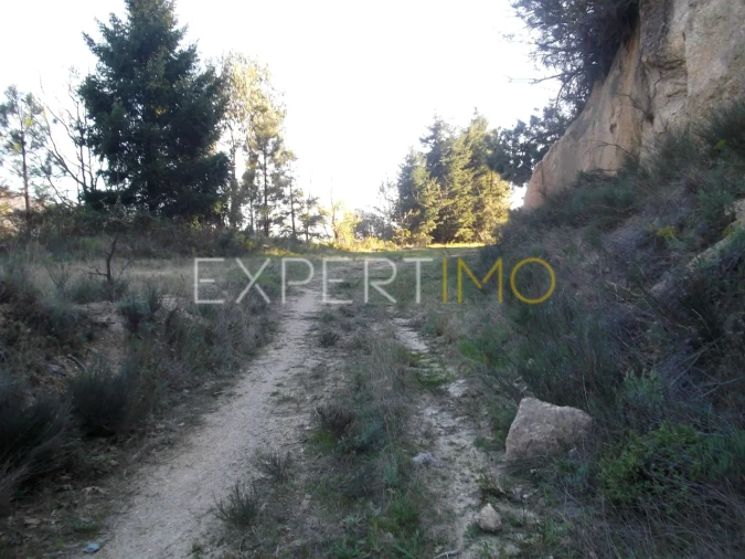 Quinta T0 para Venda em Famalicão Foto 15