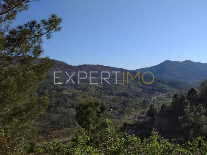 Quinta T0 para Venda em Famalicão Foto 16