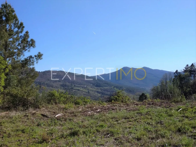 Quinta T0 para Venda em Famalicão Foto 17