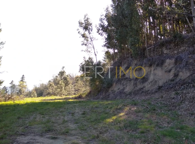 Quinta T0 para Venda em Famalicão Foto 19