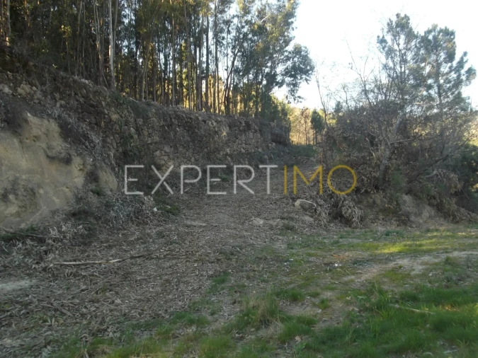 Quinta T0 para Venda em Famalicão Foto 23