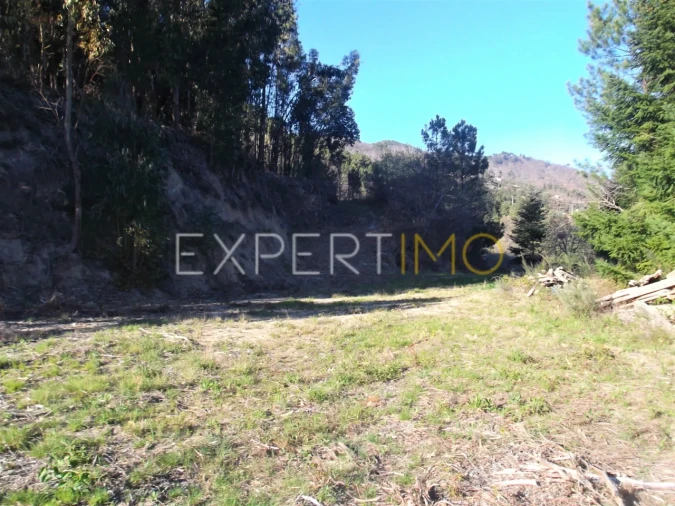 Quinta T0 para Venda em Famalicão Foto 24