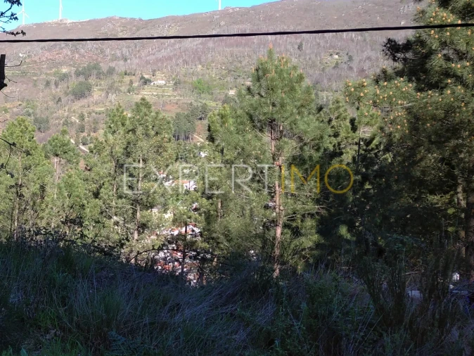 Quinta T0 para Venda em Famalicão Foto 25