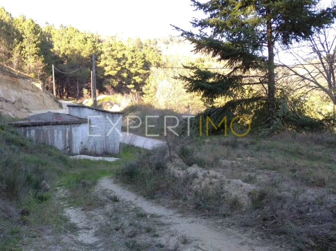 Quinta T0 para Venda em Famalicão Foto 26