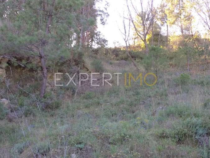 Quinta T0 para Venda em Famalicão Foto 27