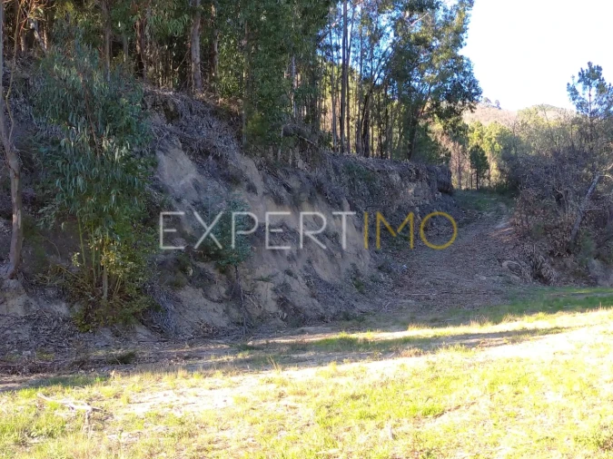 Quinta T0 para Venda em Famalicão Foto 34