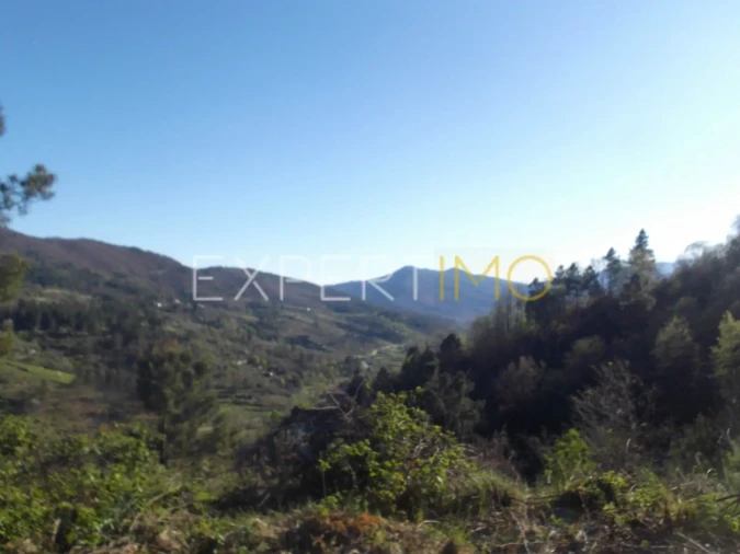 Quinta T0 para Venda em Famalicão Foto 4