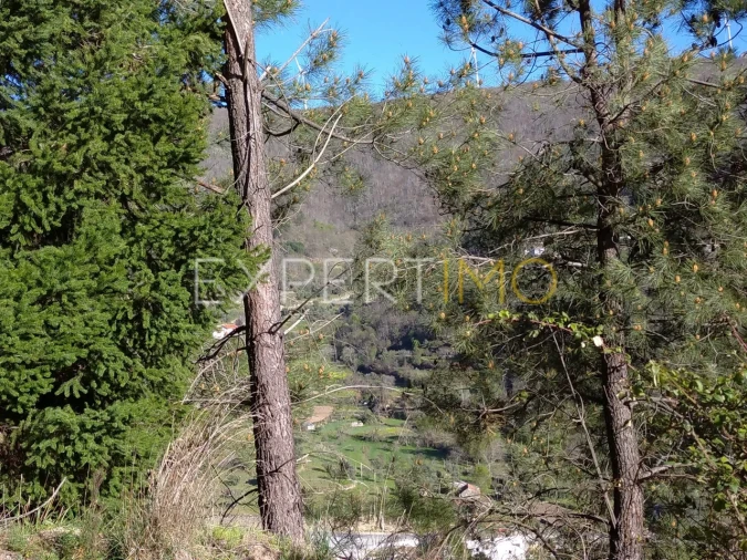 Quinta T0 para Venda em Famalicão Foto 41