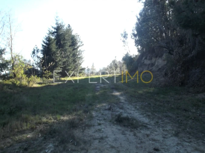 Quinta T0 para Venda em Famalicão Foto 8