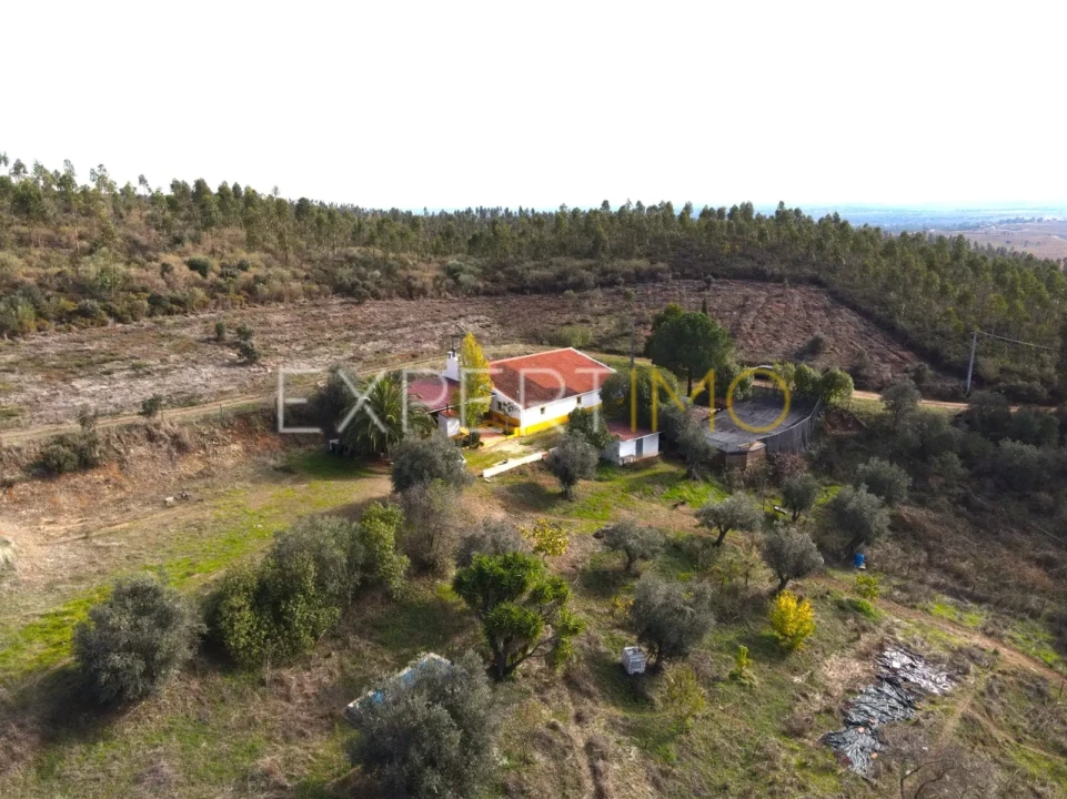 Quinta T4 para Venda em Selmes Foto 1