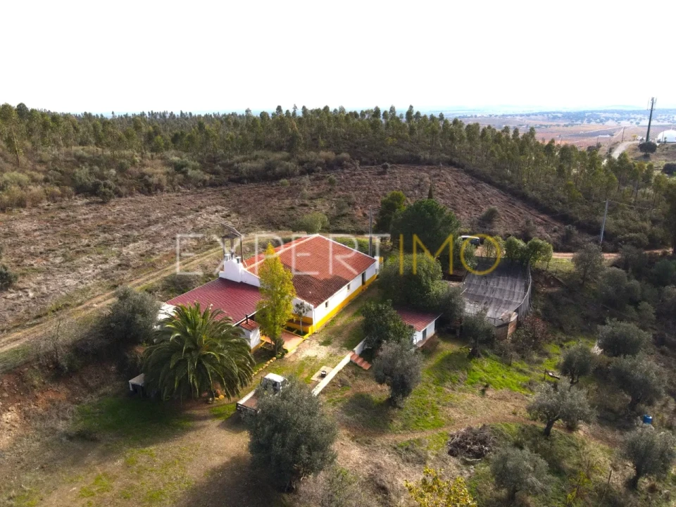 Quinta T4 para Venda em Selmes Foto 2