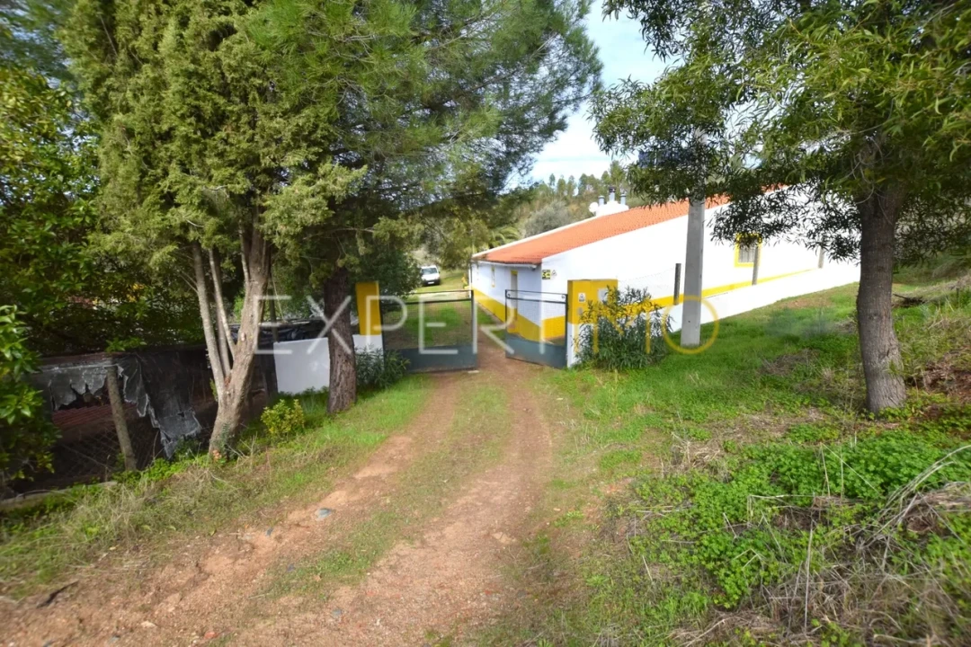 Quinta T4 para Venda em Selmes Foto 3