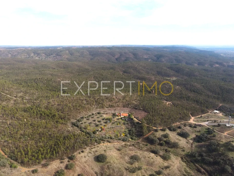 Quinta T4 para Venda em Selmes Foto 26