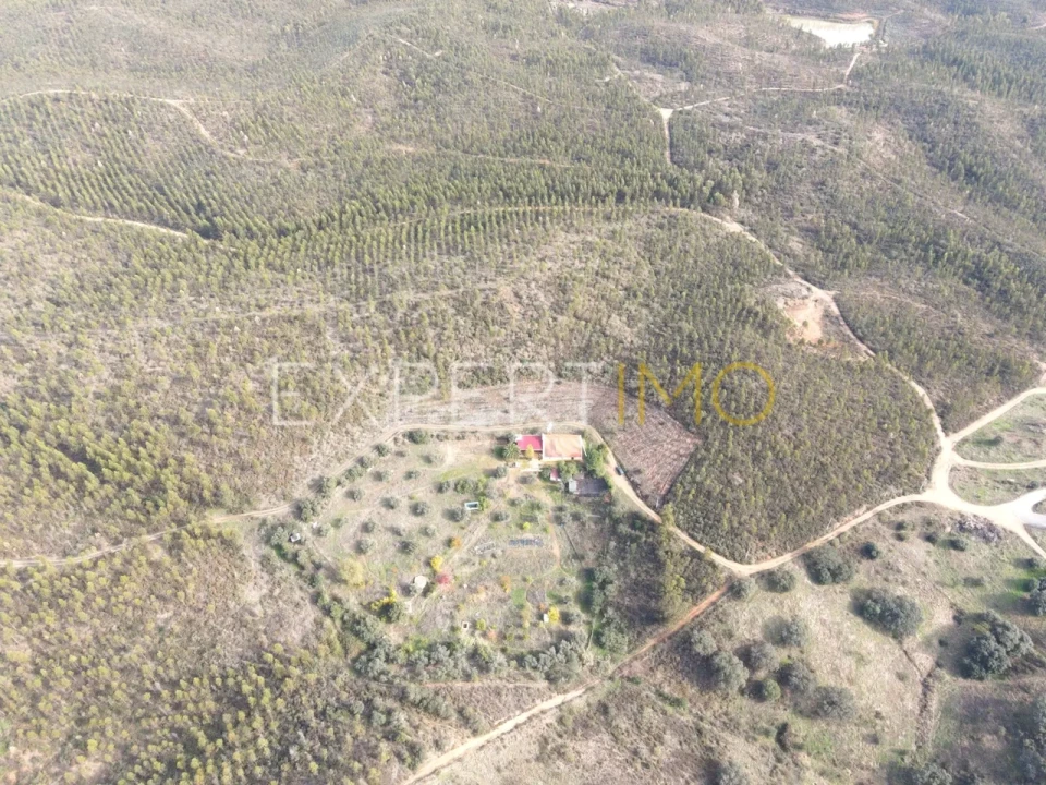 Quinta T4 para Venda em Selmes Foto 27