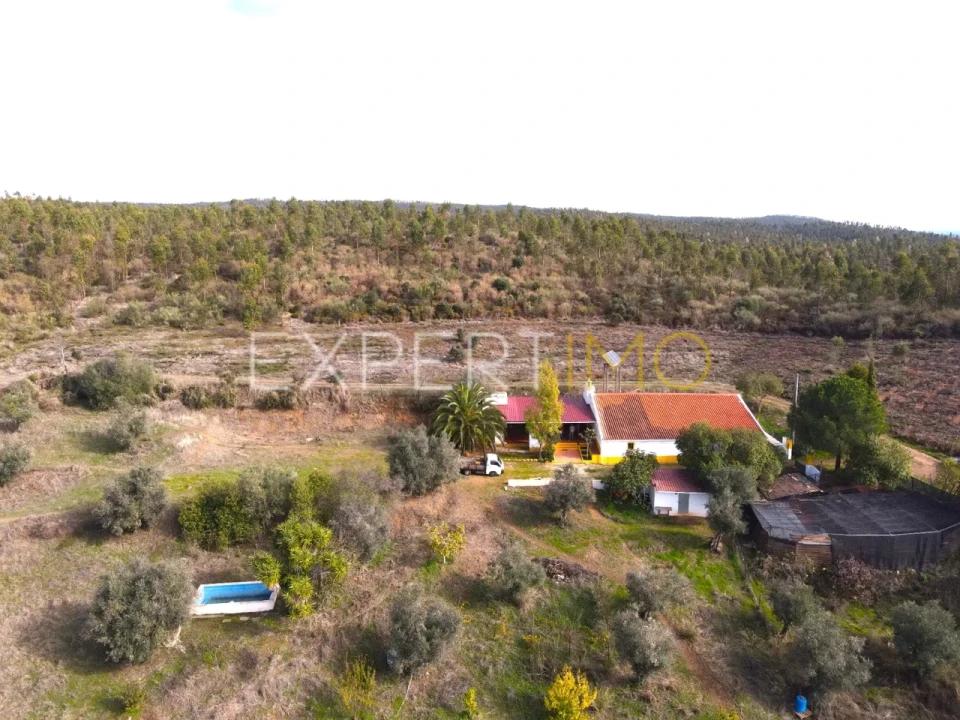 Quinta T4 para Venda em Selmes Foto 29