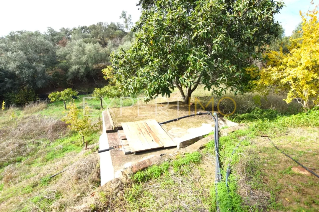 Quinta T4 para Venda em Selmes Foto 31