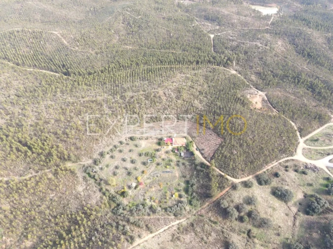 Quinta T4 para Venda em Selmes Foto 27