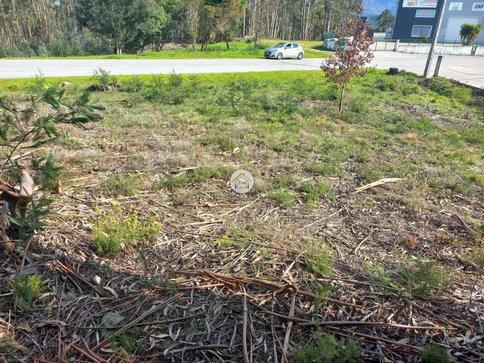 Terreno para Venda em Foz de Arouce e Casal de Ermio Foto 5