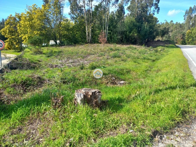 Terreno para Venda em Foz de Arouce e Casal de Ermio Foto 3