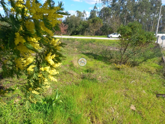 Terreno para Venda em Foz de Arouce e Casal de Ermio Foto 6