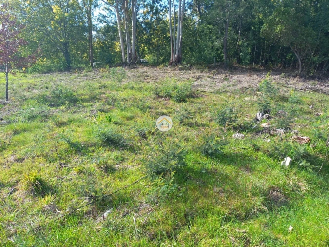 Terreno para Venda em Foz de Arouce e Casal de Ermio Foto 4