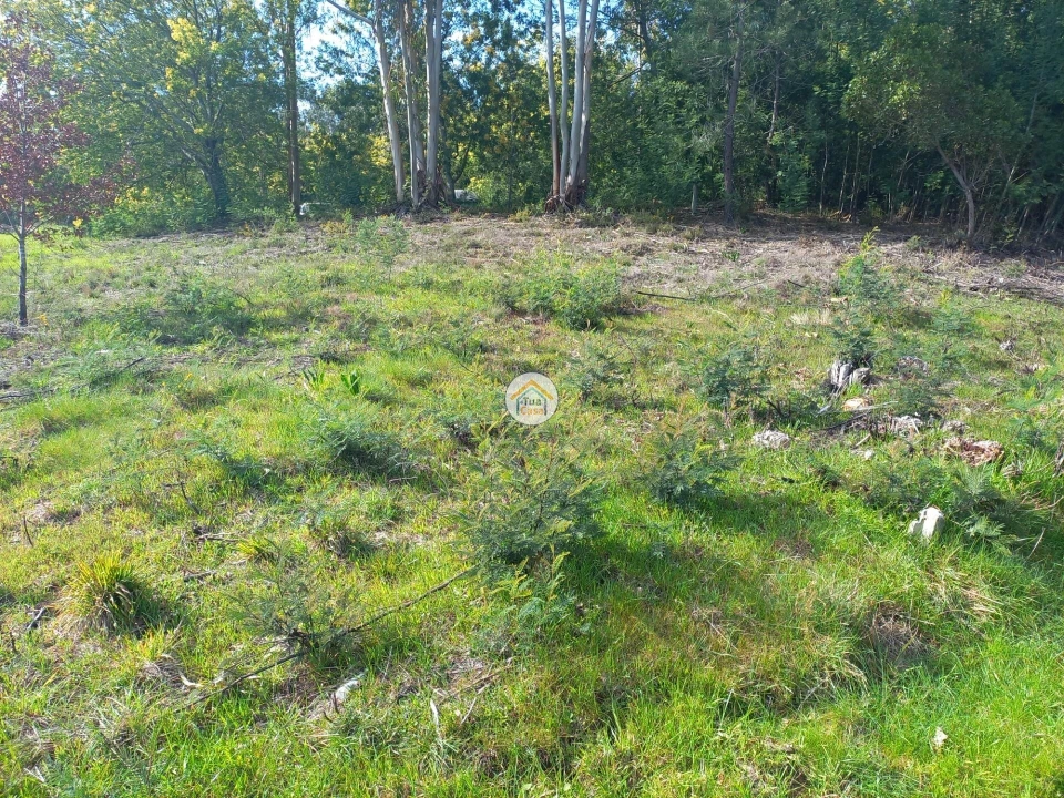 Terreno para Venda em Foz de Arouce e Casal de Ermio Foto 4