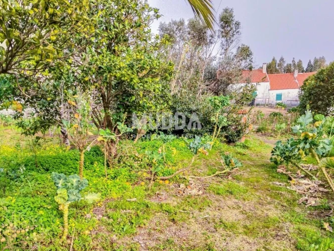 Moradia T2 para Venda em A dos Negros Foto 6