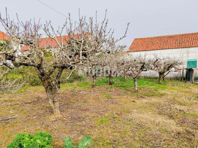 Moradia T2 para Venda em A dos Negros Foto 1