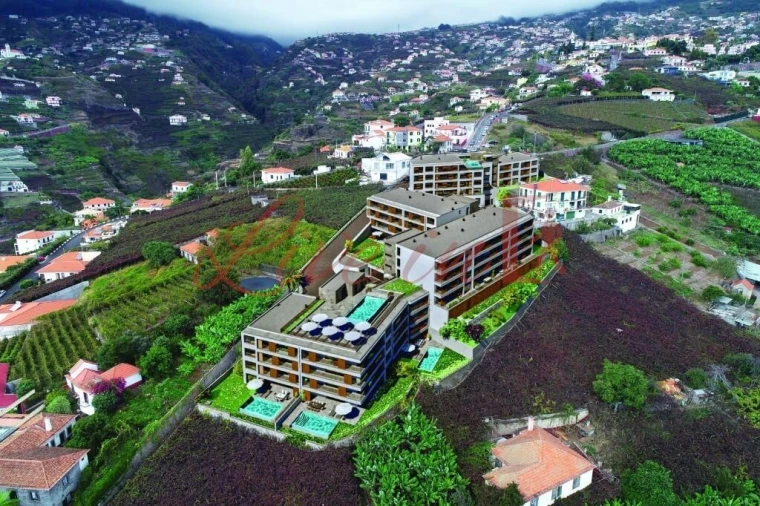 Apartamento T1 para Venda em Estreito de Camara de Lobos Foto 3