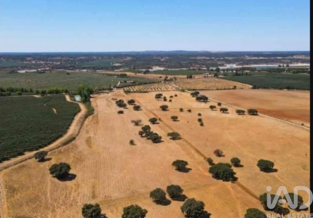 Quinta para Venda em Montargil Foto 3