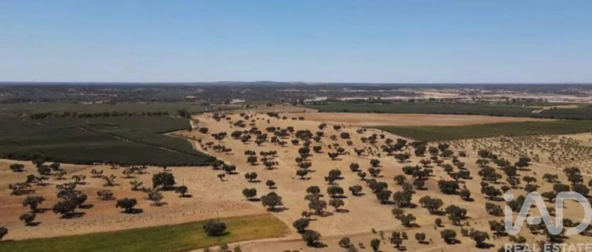 Quinta para Venda em Montargil Foto 10