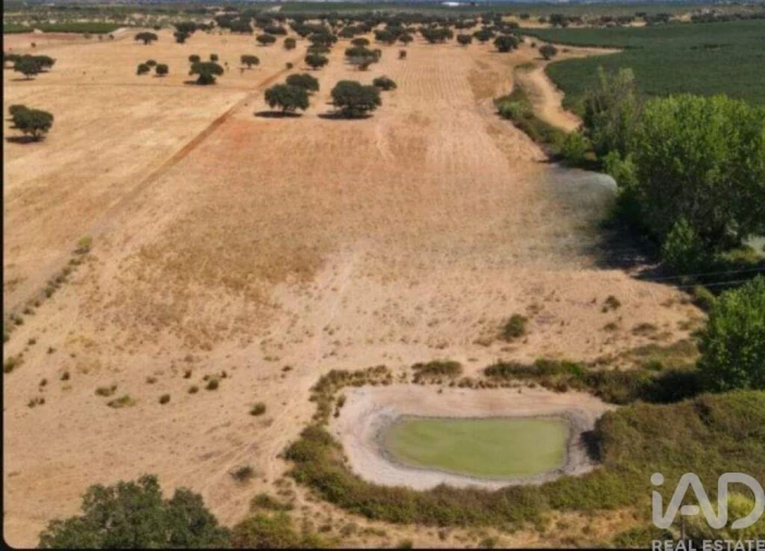 Quinta para Venda em Montargil Foto 4