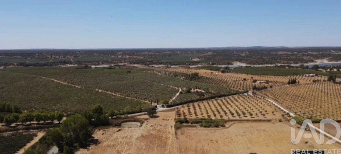 Quinta para Venda em Montargil Foto 5