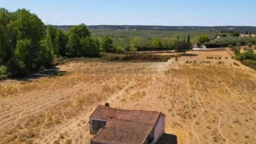 Quinta para Venda em Montargil