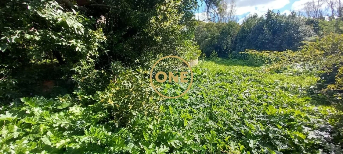 Quinta T9 para Venda em Torres Novas (São Pedro), Lapas e Ribeira Branca Foto 37